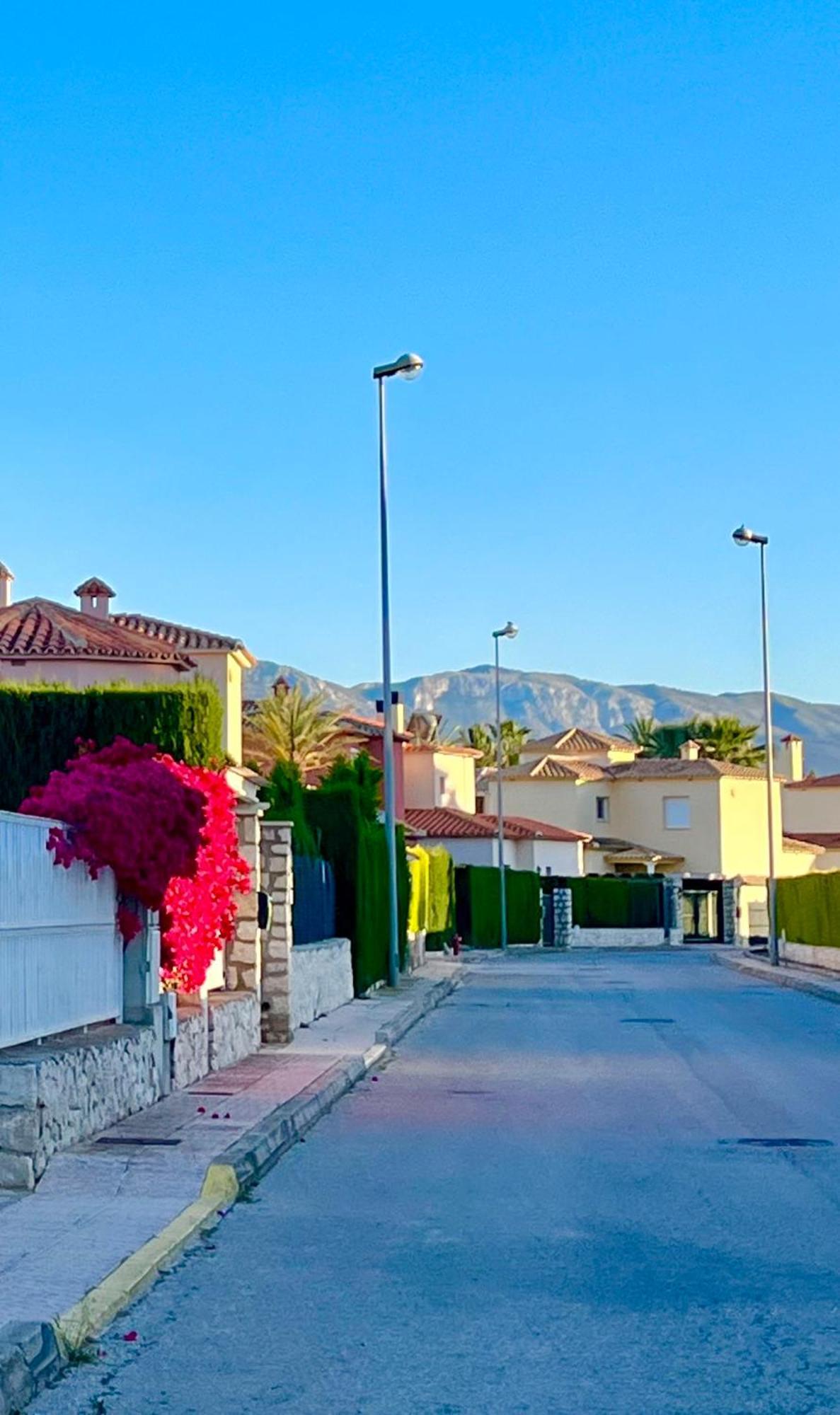 Villa Con Jardin En Oliva Nova Golf A 100M De La Playa Eksteriør billede